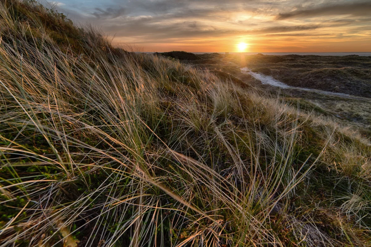 Radzimy jak nauczyć się tańca szybciej
